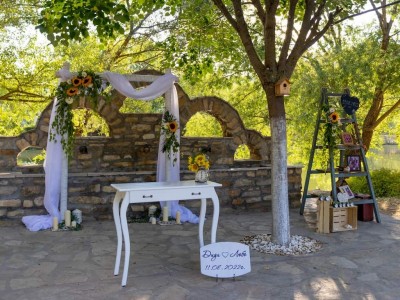 Украса на изнесенритуал за сватба с арка от брезови клони, слънчогледи и фотокът със стълба